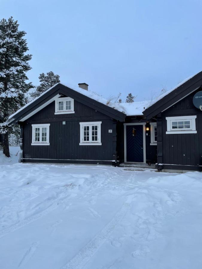 I Nydelige Jotunhemen - Rett Ved Besseggen Randsverk